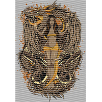 Japanese anime-JP 1777